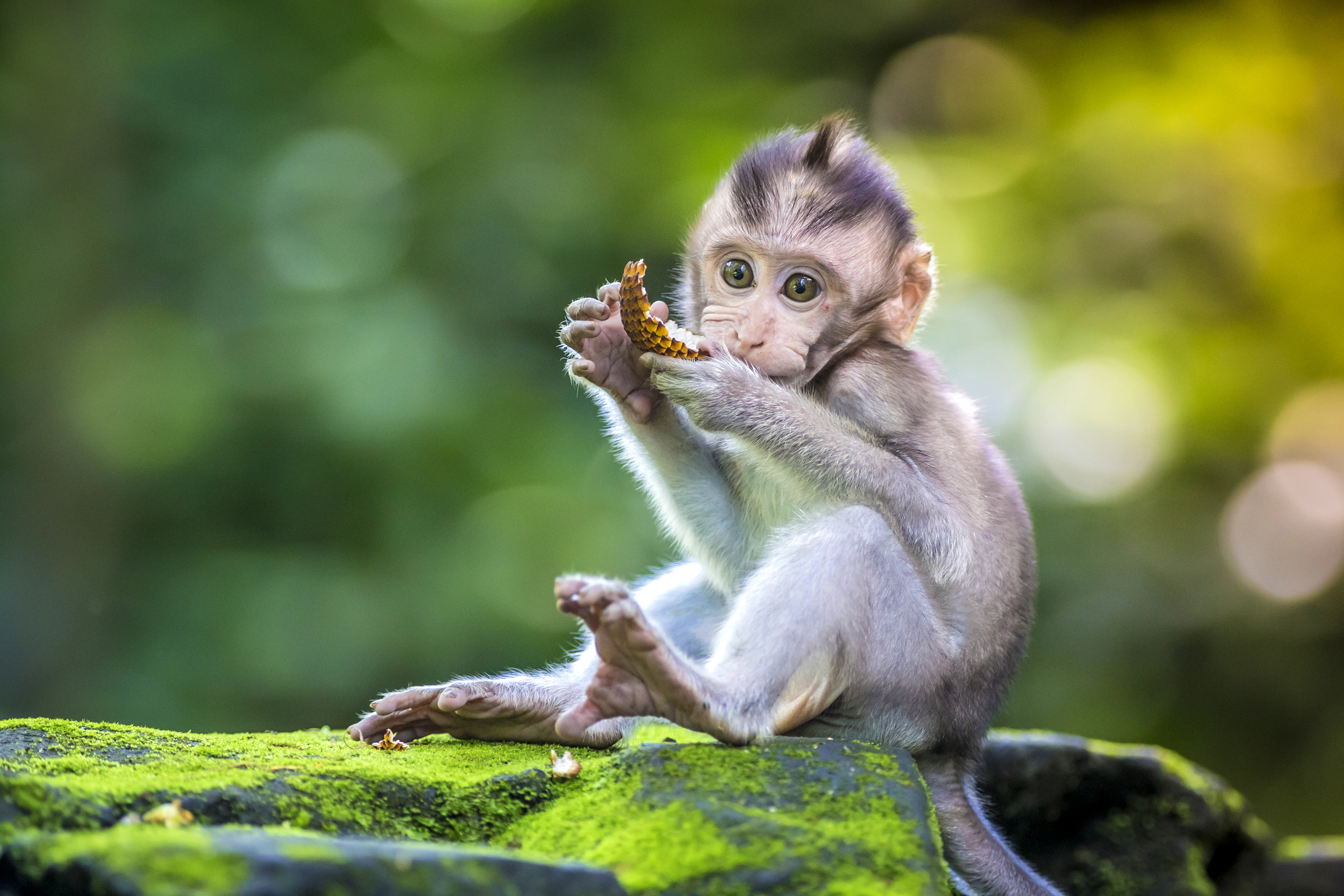 Bali & Beyond